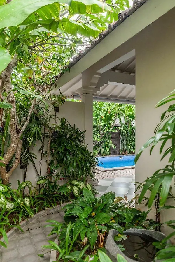 Villa Seni Seminyak   Seminyak (Bali)